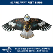 PESTEZE® USA Flying Hawk Bird Deterrent Kite, 13 ft Pole– Realistic 54x30 Inch Hawk Decoy Scare Device for Gardens, Yards, Boats & Farms– Repels Pest Birds like Crows, Pigeons, Seagulls, Geese Humanely