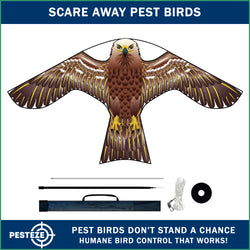 PESTEZE® USA Hawk Kite [47x27 Inch Kite with 13 Ft Flagpole] Provides Humane Bird Deterrence in Yards & Farms. Protects Vegetables, Fruits & Crops from Pest Birds & Critters