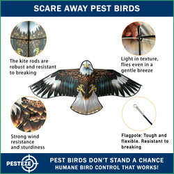 PESTEZE® USA Huge Blue Eagle Kite [63x29 Inch Kite with 13 Ft Flagpole] Provides Humane Bird Deterrence in Yards & Farms. Protects Vegetables, Fruits & Crops from Pest Birds & Critters