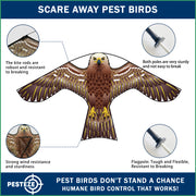 PESTEZE® USA Hawk Kite [47x27 Inch Kite with 13 Ft Flagpole] Provides Humane Bird Deterrence in Yards & Farms. Protects Vegetables, Fruits & Crops from Pest Birds & Critters