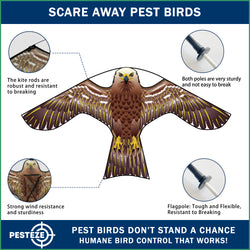 PESTEZE® USA Hawk Kite [47x27 Inch Kite with 13 Ft Flagpole] Provides Humane Bird Deterrence in Yards & Farms. Protects Vegetables, Fruits & Crops from Pest Birds & Critters