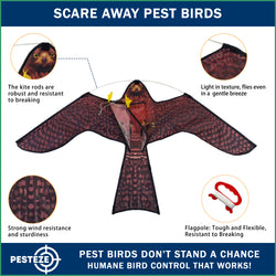 PESTEZE® USA Realistic Hawk Kite [47x27 Inch] EZ & Fun to Fly. Also Provides Humane Bird Deterrence in Yards & Farms. Protects Vegetables, Fruits & Crops from Pest Birds & Critters