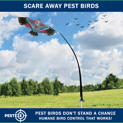 PESTEZE® USA Huge Red Eagle Kite [60x28 Inch Kite with 13 Ft Flagpole] Provides Humane Bird Deterrence in Yards & Farms. Protects Vegetables, Fruits & Crops from Pest Birds & Critters