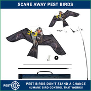 PESTEZE® USA Realistic Eagle Kite [2 Pack- 46 x 26 Inch with 13 ft Flagpole] Use in Yards & Farms to Protect Vegetables, Fruits & Crops from Pest Birds & Critters without Harming Them