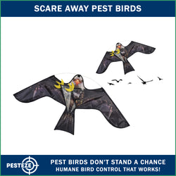 PESTEZE® USA Realistic Eagle Kite 47x27 Inch . EZ to Fly Fun. Provides Humane Bird Deterrence in Yards & Farms. Protects Vegetables, Fruits & Crops from Pest Birds