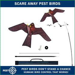 PESTEZE® USA Realistic Hawk Bird Scarer Kite [46 x 26 Inch with 13 ft Flagpole]. Use in Yards & Farms to Protect Vegetables, Fruits, Crops & Buildings from Pest Birds & Critters without Harming Them