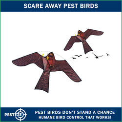 PESTEZE® USA Realistic Hawk Kite [47x27 Inch] EZ & Fun to Fly. Also Provides Humane Bird Deterrence in Yards & Farms. Protects Vegetables, Fruits & Crops from Pest Birds & Critters