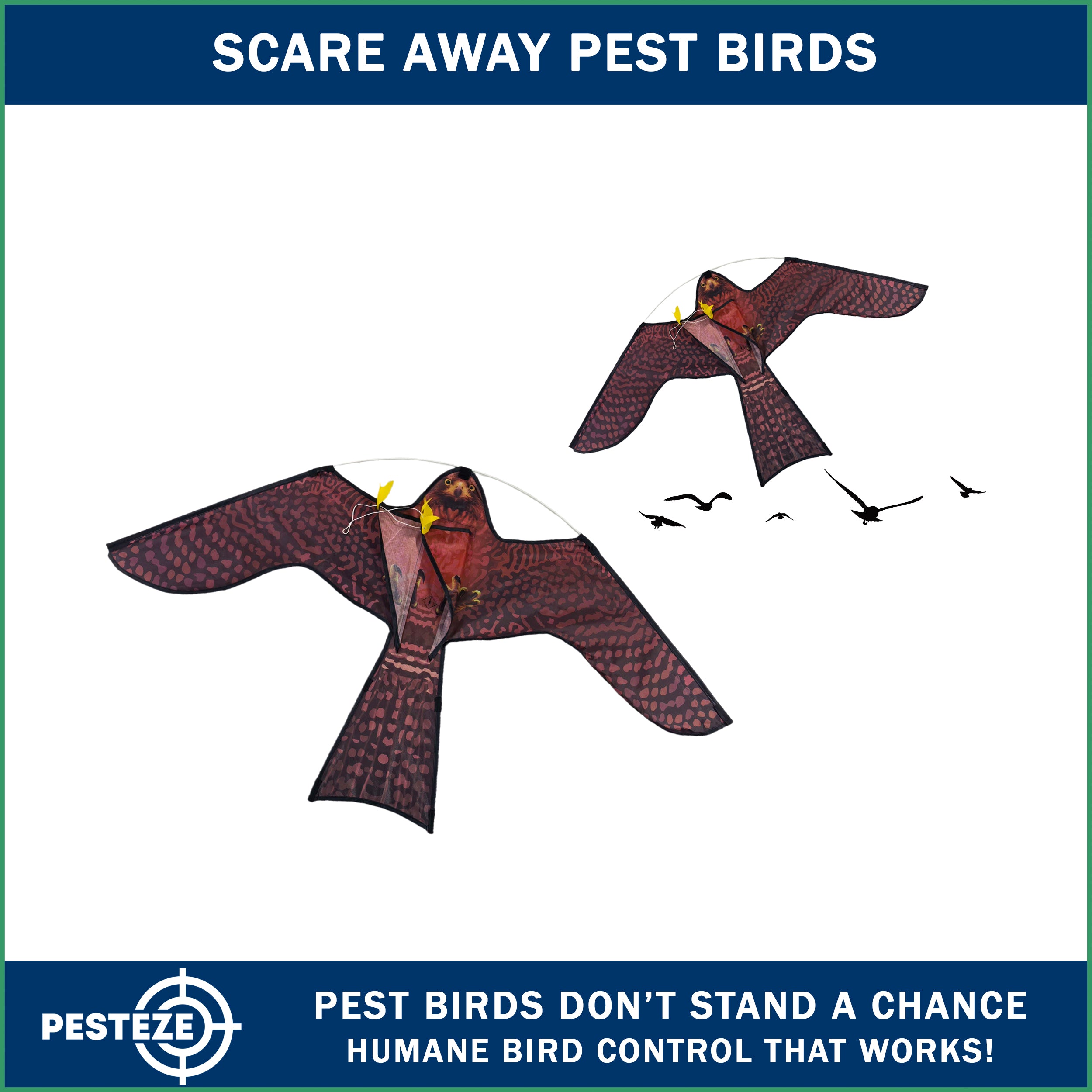 PESTEZE® USA Realistic Hawk Kite [47x27 Inch] EZ & Fun to Fly. Also Provides Humane Bird Deterrence in Yards & Farms. Protects Vegetables, Fruits & Crops from Pest Birds & Critters