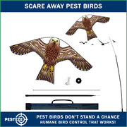 PESTEZE® USA Hawk Kite [47x27 Inch Kite with 13 Ft Flagpole] Provides Humane Bird Deterrence in Yards & Farms. Protects Vegetables, Fruits & Crops from Pest Birds & Critters