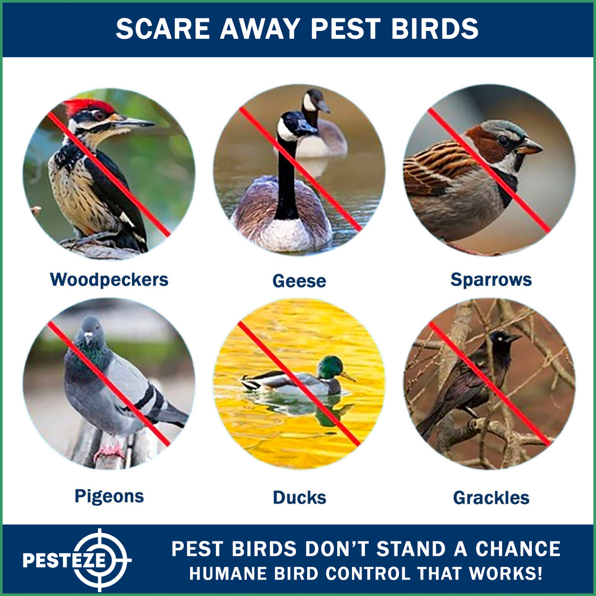 PESTEZE® USA Hawk Kite [47x27 Inch Kite with 13 Ft Flagpole] Provides Humane Bird Deterrence in Yards & Farms. Protects Vegetables, Fruits & Crops from Pest Birds & Critters