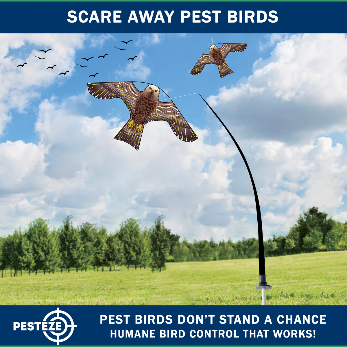 PESTEZE® USA Hawk Kite [47x27 Inch Kite with 13 Ft Flagpole] Provides Humane Bird Deterrence in Yards & Farms. Protects Vegetables, Fruits & Crops from Pest Birds & Critters