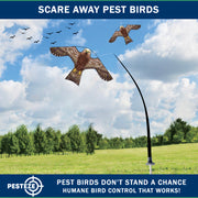 PESTEZE® USA Hawk Kite [47x27 Inch Kite with 13 Ft Flagpole] Provides Humane Bird Deterrence in Yards & Farms. Protects Vegetables, Fruits & Crops from Pest Birds & Critters