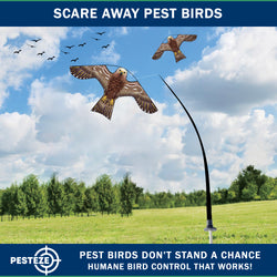 PESTEZE® USA Hawk Kite [47x27 Inch Kite with 13 Ft Flagpole] Provides Humane Bird Deterrence in Yards & Farms. Protects Vegetables, Fruits & Crops from Pest Birds & Critters