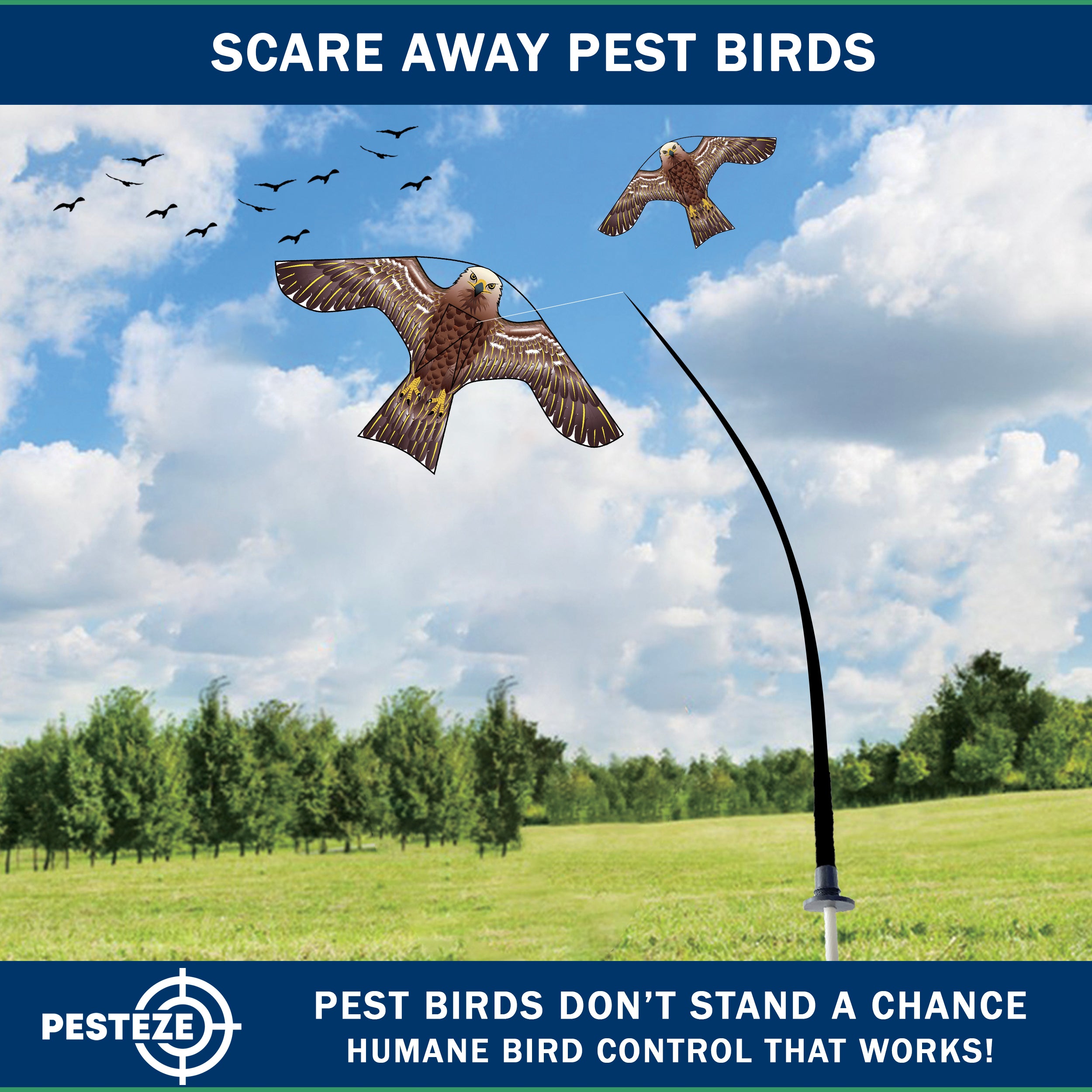 PESTEZE® USA Hawk Kite [47x27 Inch Kite with 13 Ft Flagpole] Provides Humane Bird Deterrence in Yards & Farms. Protects Vegetables, Fruits & Crops from Pest Birds & Critters