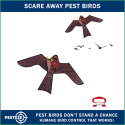PESTEZE® USA Realistic Hawk Kite [47x27 Inch] EZ & Fun to Fly. Also Provides Humane Bird Deterrence in Yards & Farms. Protects Vegetables, Fruits & Crops from Pest Birds & Critters