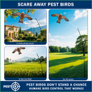 PESTEZE® USA Hawk Kite [47x27 Inch Kite with 13 Ft Flagpole] Provides Humane Bird Deterrence in Yards & Farms. Protects Vegetables, Fruits & Crops from Pest Birds & Critters