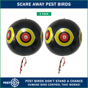 PESTEZE® USA Large 15" Black Bird Predator-Eye Balloon Decoy [2 Pack Black Color]  Deters Unwanted Pest Birds like Pigeons, Gulls, Geese & Critters from Pools & Yards Without Harming Them To Protect Property