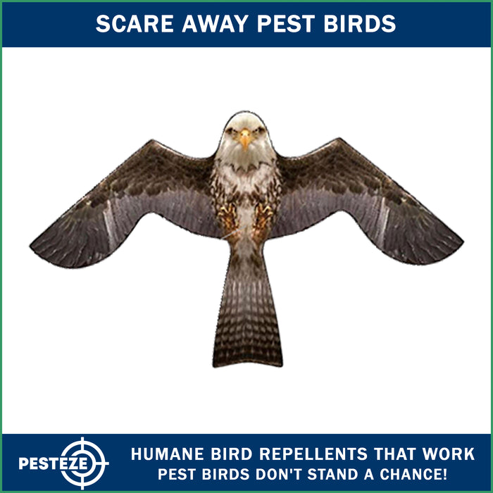 PESTEZE® BROWN Flying Eagle 2 46 x 26 Inch Kite Bird Deterrent with 13 ft Flagpole. Use in Yards & Farms to Protect Vegetables, Fruits & Crops from Pest Birds & Critters without Harming them