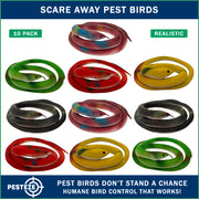 PESTEZE® USA Variety 27 Inch Realistic Rubber Snakes [10 Pack] Predators Pest Bids like Woodpeckers, Sparrows, Pigeons, Crows, Gulls & Critters without Harming them to Protect Property