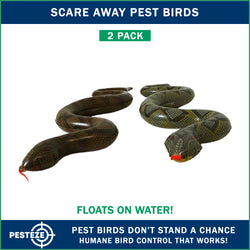 PESTEZE® Brown & Green 39 Inch Realistic Inflatable Snakes [2 Pack] Scares Pest Birds  like Woodpeckers, Sparrows, Pigeons, Crows, Gulls & Critters from Pools & Yards without Harming them to Protect Property