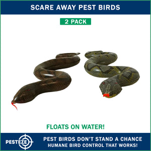 PESTEZE® Brown & Green 39 Inch Realistic Inflatable Snakes [2 Pack] Scares Pest Birds  like Woodpeckers, Sparrows, Pigeons, Crows, Gulls & Critters from Pools & Yards without Harming them to Protect Property