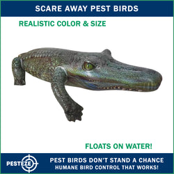 PESTEZE® 49 Inch Realistic Inflatable Alligator [1 Pack] Scares Pest Birds like Woodpeckers, Sparrows, Pigeons, Crows, Gulls & Critters from Pools & Yards without Harming them to Protect Property