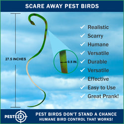 PESTEZE® Variety 27 Inch Realistic Rubber Snakes [5 Pack] Scares Pest Bids like Woodpeckers, Sparrows, Pigeons, Crows, Gulls & Critters without Harming them to Protect Property