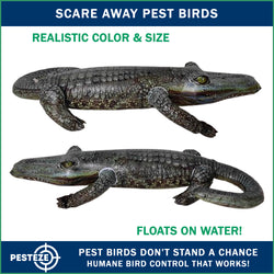 PESTEZE® 49 Inch Realistic Inflatable Alligator [1 Pack] Scares Pest Birds like Woodpeckers, Sparrows, Pigeons, Crows, Gulls & Critters from Pools & Yards without Harming them to Protect Property