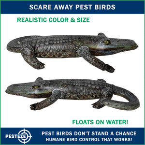 PESTEZE® 49 Inch Realistic Inflatable Alligator [1 Pack] Scares Pest Birds like Woodpeckers, Sparrows, Pigeons, Crows, Gulls & Critters from Pools & Yards without Harming them to Protect Property