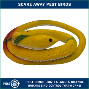 PESTEZE® Variety 27 Inch Realistic Rubber Snakes [5 Pack] Scares Pest Bids like Woodpeckers, Sparrows, Pigeons, Crows, Gulls & Critters without Harming them to Protect Property