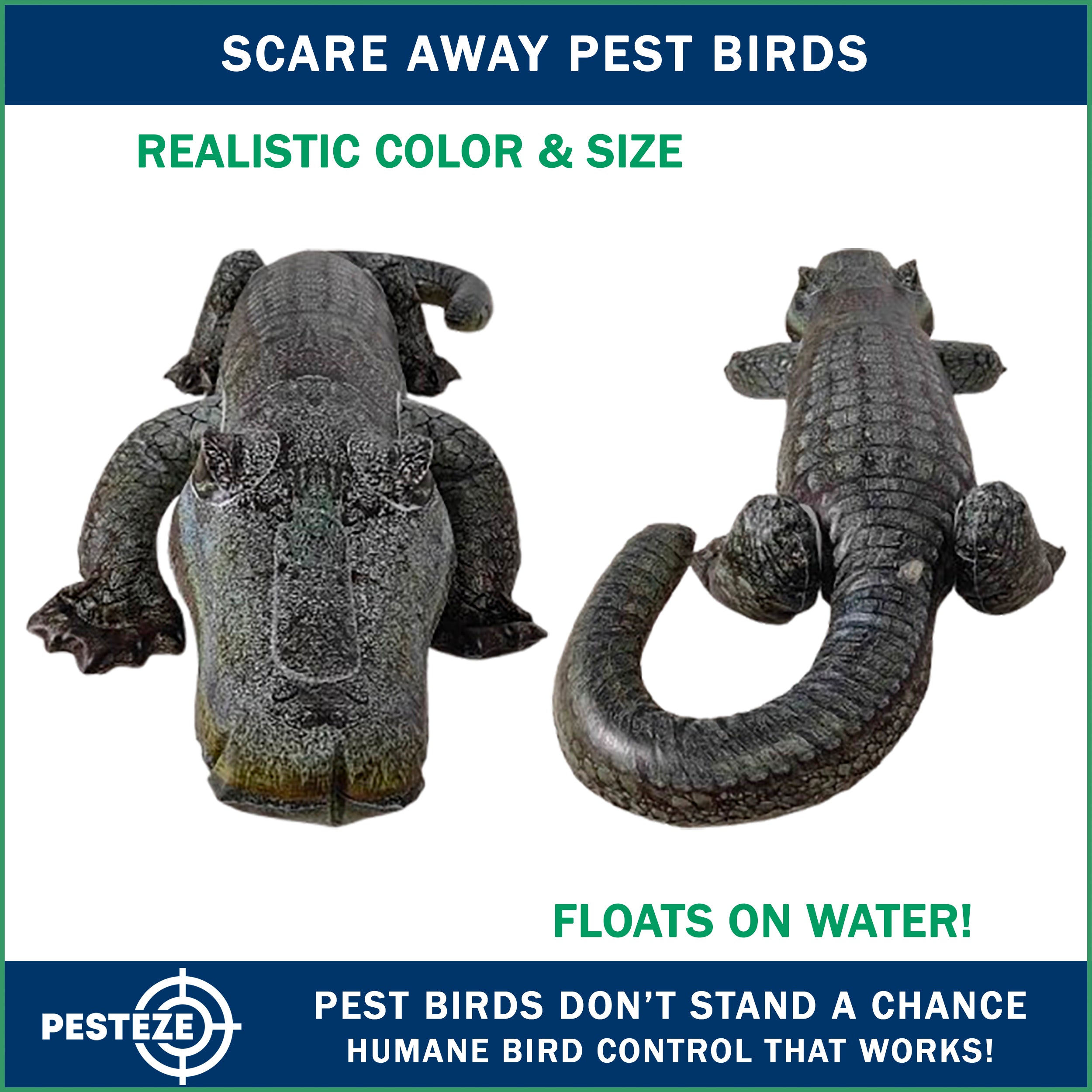 PESTEZE® 49 Inch Realistic Inflatable Alligator [1 Pack] Scares Pest Birds like Woodpeckers, Sparrows, Pigeons, Crows, Gulls & Critters from Pools & Yards without Harming them to Protect Property
