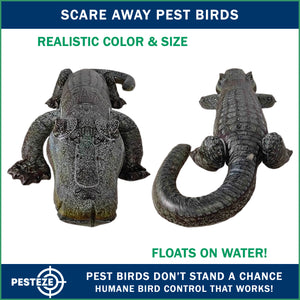PESTEZE® 49 Inch Realistic Inflatable Alligator [1 Pack] Scares Pest Birds like Woodpeckers, Sparrows, Pigeons, Crows, Gulls & Critters from Pools & Yards without Harming them to Protect Property