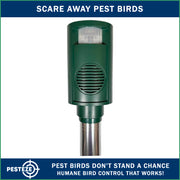 PESTEZE® Battery Bird Sound Repeller. Detects & Deters Pest Birds with Predator Sounds without Harming them to Protect Property. Use to Repel Woodpeckers, Pigeons, Crows, Ducks, Geese & Critters - Pesteze