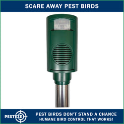 PESTEZE® Battery Bird Sound Repeller. Detects & Deters Pest Birds with Predator Sounds without Harming them to Protect Property. Use to Repel Woodpeckers, Pigeons, Crows, Ducks, Geese & Critters - Pesteze