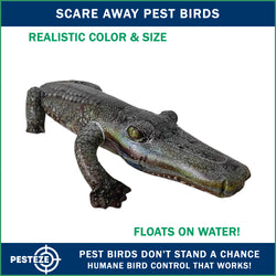 PESTEZE® 49 Inch Realistic Inflatable Alligator [1 Pack] Scares Pest Birds like Woodpeckers, Sparrows, Pigeons, Crows, Gulls & Critters from Pools & Yards without Harming them to Protect Property