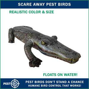 PESTEZE® 49 Inch Realistic Inflatable Alligator [1 Pack] Scares Pest Birds like Woodpeckers, Sparrows, Pigeons, Crows, Gulls & Critters from Pools & Yards without Harming them to Protect Property