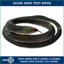 PESTEZE® Variety 27 Inch Realistic Rubber Snakes [5 Pack] Scares Pest Bids like Woodpeckers, Sparrows, Pigeons, Crows, Gulls & Critters without Harming them to Protect Property