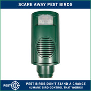 PESTEZE® Battery Bird Sound Repeller. Detects & Deters Pest Birds with Predator Sounds without Harming them to Protect Property. Use to Repel Woodpeckers, Pigeons, Crows, Ducks, Geese & Critters - Pesteze