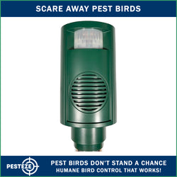 PESTEZE® Battery Bird Sound Repeller. Detects & Deters Pest Birds with Predator Sounds without Harming them to Protect Property. Use to Repel Woodpeckers, Pigeons, Crows, Ducks, Geese & Critters - Pesteze