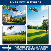 PESTEZE® USA Flying Hawk Bird Deterrent Kite, 13 ft Pole– Realistic 54x30 Inch Hawk Decoy Scare Device for Gardens, Yards, Boats & Farms– Repels Pest Birds like Crows, Pigeons, Seagulls, Geese Humanely
