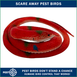 PESTEZE® Variety 27 Inch Realistic Rubber Snakes [5 Pack] Scares Pest Bids like Woodpeckers, Sparrows, Pigeons, Crows, Gulls & Critters without Harming them to Protect Property
