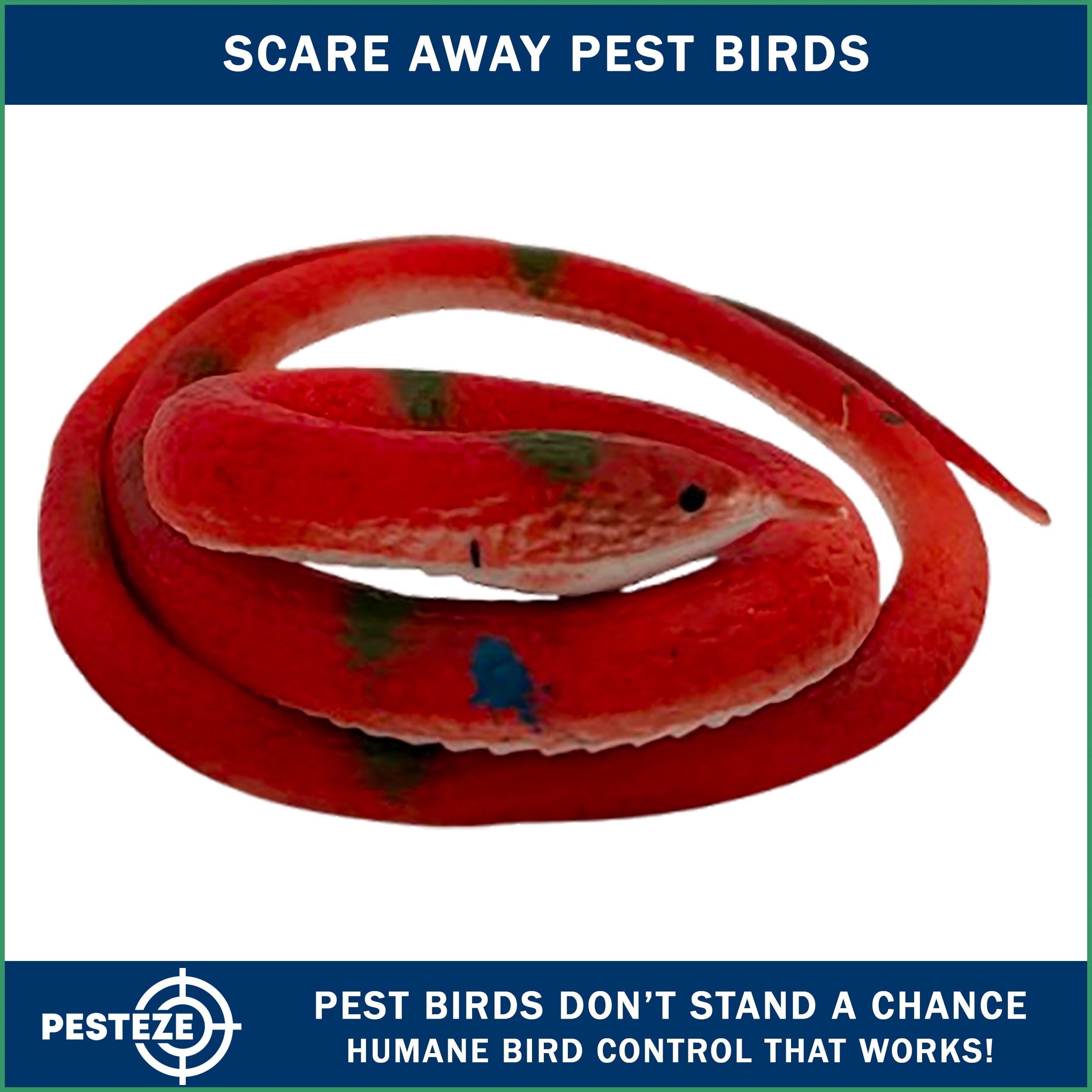 PESTEZE® Variety 27 Inch Realistic Rubber Snakes [5 Pack] Scares Pest Bids like Woodpeckers, Sparrows, Pigeons, Crows, Gulls & Critters without Harming them to Protect Property