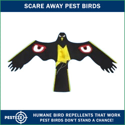 PESTEZE® Black Flying Hawk 54 x 30 Inch Kite with Predator Eyes & 13 ft Flagpole to Deter Birds. Use in Yards & Farms to Protect Vegetables, Fruits, Crops & Property from Pest Birds & Critters without Harming them