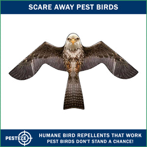 PESTEZE® Flying Eagle 54 x 30 Inch Kite Bird Deterrent with 13 ft Flagpole. Use in Yards & Farms to Protect Vegetables, Fruits & Crops from Pest Birds & Critters without Harming them