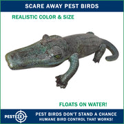 PESTEZE® USA Inflatable Alligator Decoy – Realistic 50" Floating Gator for Pool, Pond, Docks & Yards; Helps Scare Pest Birds, Ducks & Geese; Durable Plastic Floating Reptile for Outdoor Safe Property