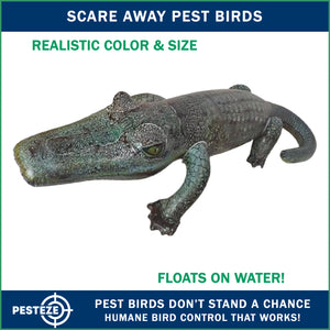 PESTEZE® 49 Inch Realistic Inflatable Alligator [1 Pack] Scares Pest Birds like Woodpeckers, Sparrows, Pigeons, Crows, Gulls & Critters from Pools & Yards without Harming them to Protect Property