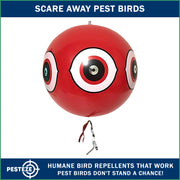 PESTEZE® USA Large 15" Red Bird Predator Balloon Decoy 1 Pack | Inflatable Bird Deterrent for Pools, Docks, Patios & Gardens; Humane Predator–Eye Balloon Keeps Away Pigeons, Woodpeckers, Ducks & Geese
