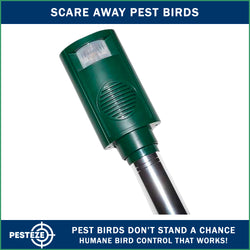 PESTEZE® Battery Bird Sound Repeller. Detects & Deters Pest Birds with Predator Sounds without Harming them to Protect Property. Use to Repel Woodpeckers, Pigeons, Crows, Ducks, Geese & Critters - Pesteze