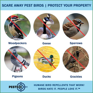 PESTEZE® 12" Bird Scare Silver Shiny Reflective Rods for Outdoors [12 Pack Silver] Repels Pest Birds like Woodpeckers, Sparrows, Pigeons, Crows, Geese & Gulls without Harming them to Protect Property