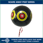 PESTEZE® USA Large 15" Black Bird Predator-Eye Balloon Decoy [1 Pack] – Effective Bird Deterrent for Pools, Yards, Docks & Gardens–Humane Way to Keep Away Ducks, Geese, Pigeons & Seagulls Without Harm
